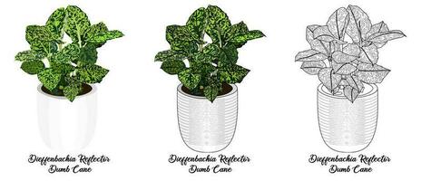 House Plant Coloring Book Hand Drawn Illustration vector