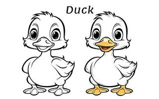 Cute Duck Animal Coloring Book Illustration vector