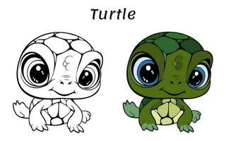 Cute Turtle Animal Coloring Book Illustration vector