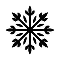 Beautiful Christmas Snowflake vector