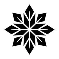 Beautiful Christmas Snowflake vector