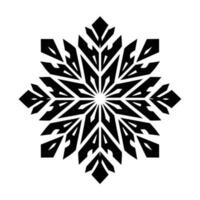 Beautiful Christmas Snowflake vector