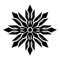 Beautiful Christmas Snowflake vector