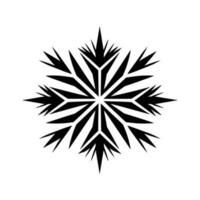 Beautiful Christmas Snowflake vector