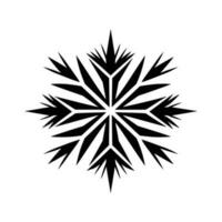 Beautiful Christmas Snowflake vector