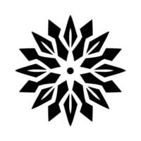 Beautiful Christmas Snowflake vector