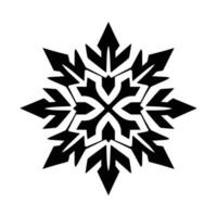 Beautiful Christmas Snowflake vector