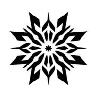 Beautiful Christmas Snowflake vector