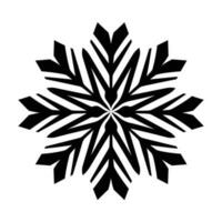 Beautiful Christmas Snowflake vector