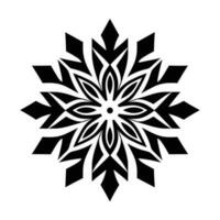 Beautiful Christmas Snowflake vector