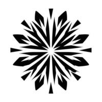 Beautiful Christmas Snowflake vector