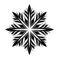 Beautiful Christmas Snowflake vector