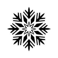 Beautiful Christmas Snowflake vector