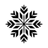 Beautiful Christmas Snowflake vector