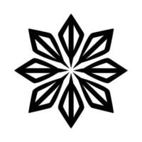 Beautiful Christmas Snowflake vector