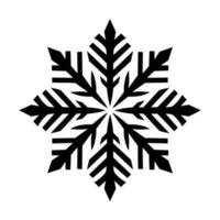 Beautiful Christmas Snowflake vector