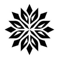 Beautiful Christmas Snowflake vector