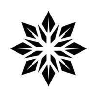 Beautiful Christmas Snowflake vector