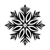 Beautiful Christmas Snowflake vector