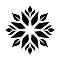 Beautiful Christmas Snowflake vector