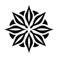 Beautiful Christmas Snowflake vector