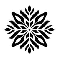 Beautiful Christmas Snowflake vector