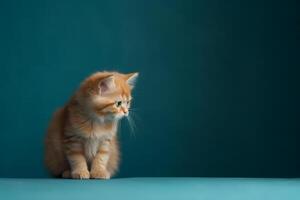 Cute ginger kitten on a blue background. Copy space for text. AI Generated photo