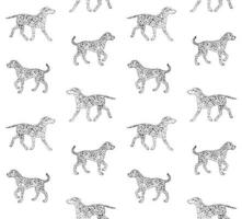 Vector seamless pattern of hand drawn sketch Dalmatian dog isolated on white background