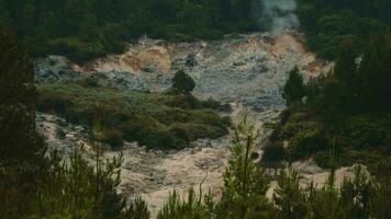 a volcanic crater located in the middle of a forest full of green trees video