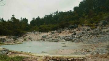 a crater full of hot, smoky water on a volcano surrounded by green trees video