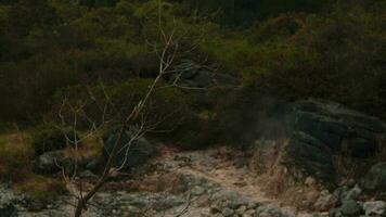 a crater full of hot, smoky water on a volcano surrounded by green trees video