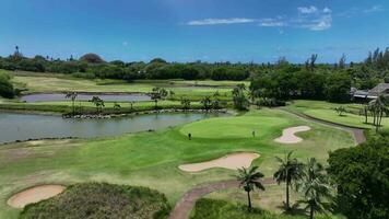 golfeurs jouer sur le cours sur une ensoleillé jour, l'île Maurice, aérien vue video