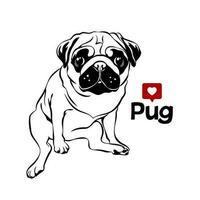 Cute pug portrait. Line art, vector illustration