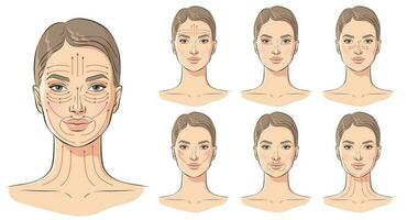 cara masaje líneas. facial masaje instrucciones, vector ilustración