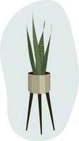 Indoor plant. A flower with long leaves in a tall flowerpot in the Scandinavian style. High quality vector illustration.