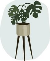 Indoor plant. Monstera in a high flowerpot in the Scandinavian style. High quality vector illustration.