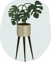 interior planta. monstera en un alto maceta en el escandinavo estilo. alto calidad vector ilustración.