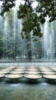 fountains in the park among greenery photo