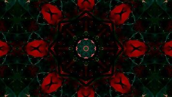 hilado resumen magia flor. esotérico cósmico mandala con rayos bucle imágenes. video