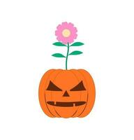 pumpkin shaped flowerpot vector flat design