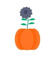 pumpkin pot vector