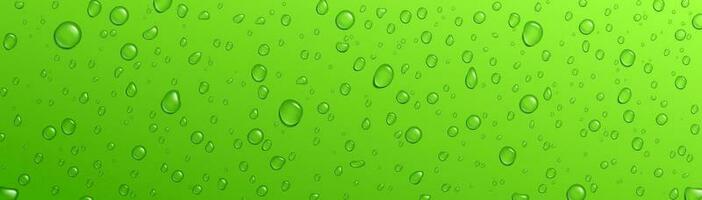 Green background fresh rain water drop vector