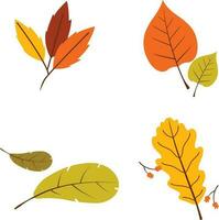 Autumn leaves element set, isolated on white background. simple cartoon flat style, vector illustration.