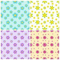 Set of Beautiful Seamless Patterns with Flower vector