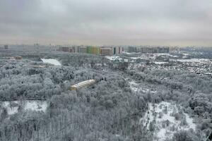 kurkino naturaleza parque - Moscú, Rusia foto