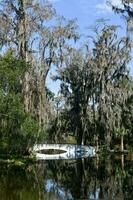 Magnolia Plantation View photo