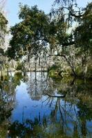 Magnolia Plantation View photo