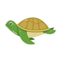 Cute turtle cartoon vector