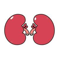 Kidneys character. Vector hand drawn traditional cartoon vintage, retro, kawaii character illustration icon. Isolated on white background. Kidneys character concept