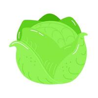 Cute funny Cabbage character. Vector hand drawn cartoon kawaii character illustration icon. Isolated on white background. Cabbage character concept